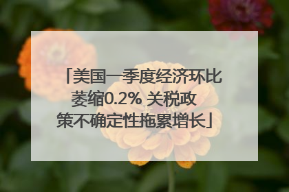 美国一季度经济环比萎缩0.2% 关税政策不确定性拖累增长