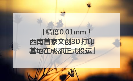 精度0.01mm！西南首家文创3D打印基地在成都正式投运