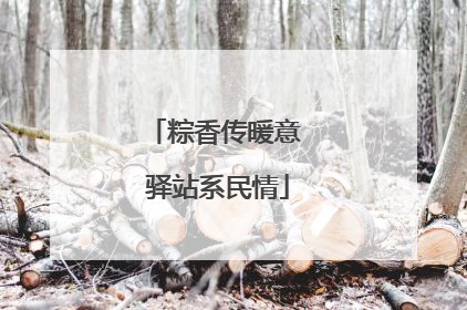 粽香传暖意 驿站系民情