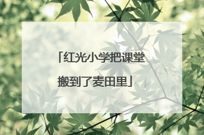 红光小学把课堂搬到了麦田里