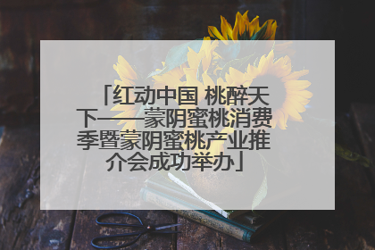 红动中国 桃醉天下——蒙阴蜜桃消费季暨蒙阴蜜桃产业推介会成功举办