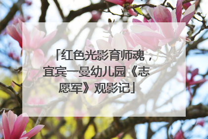 红色光影育师魂，宜宾一曼幼儿园《志愿军》观影记