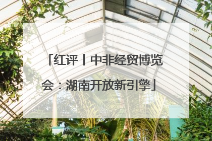 红评丨中非经贸博览会：湖南开放新引擎