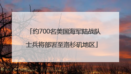 约700名美国海军陆战队士兵将部署至洛杉矶地区