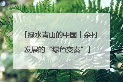 绿水青山的中国丨余村发展的“绿色变奏”