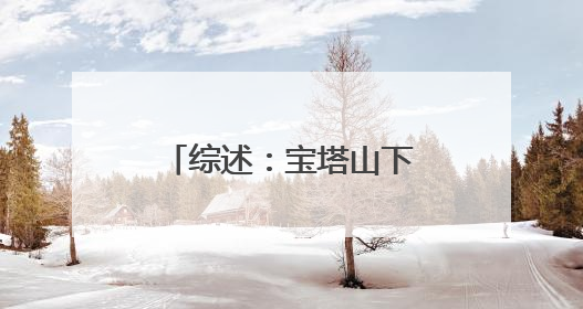综述：宝塔山下的“草原风情”