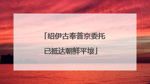 绍伊古奉普京委托已抵达朝鲜平壤