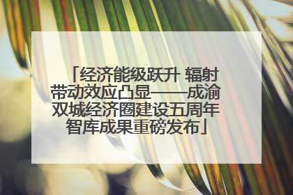 经济能级跃升 辐射带动效应凸显——成渝双城经济圈建设五周年智库成果重磅发布