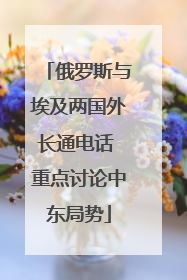 俄罗斯与埃及两国外长通电话 重点讨论中东局势