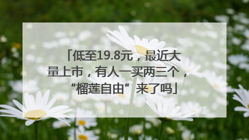 低至19.8元，最近大量上市，有人一买两三个，“榴莲自由”来了吗