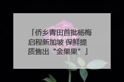 侨乡青田首批杨梅启程新加坡 保鲜提质售出“金果果”
