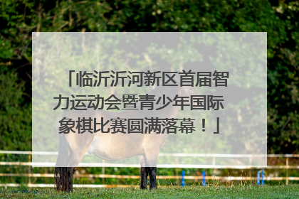 临沂沂河新区首届智力运动会暨青少年国际象棋比赛圆满落幕！