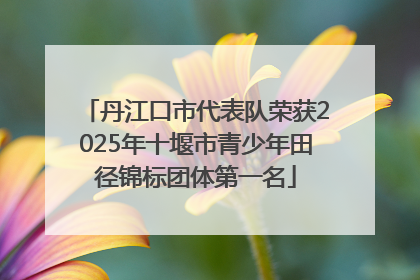 丹江口市代表队荣获2025年十堰市青少年田径锦标团体第一名