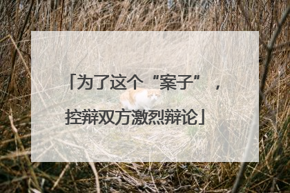 为了这个“案子”，控辩双方激烈辩论
