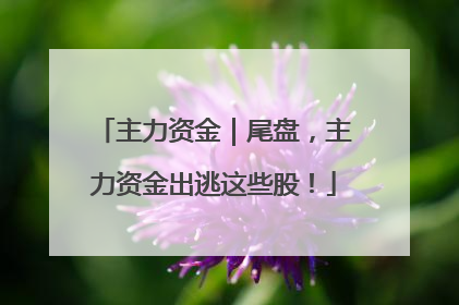 主力资金｜尾盘，主力资金出逃这些股！