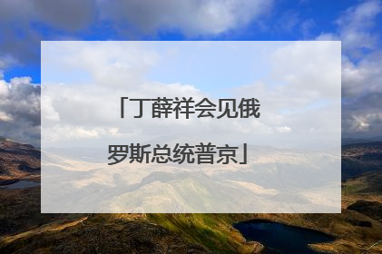 丁薛祥会见俄罗斯总统普京