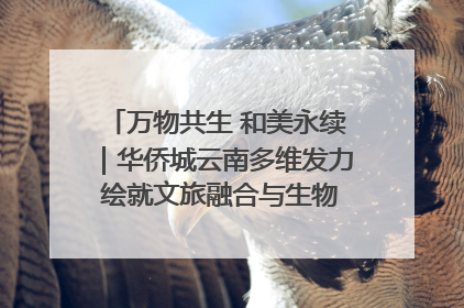 万物共生 和美永续｜华侨城云南多维发力 绘就文旅融合与生物多样性保护新图景