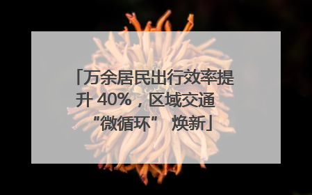 万余居民出行效率提升 40%，区域交通 “微循环” 焕新
