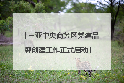 三亚中央商务区党建品牌创建工作正式启动