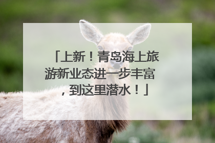 上新！青岛海上旅游新业态进一步丰富，到这里潜水！