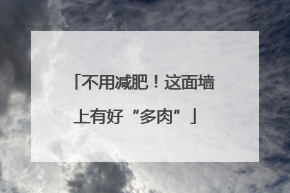 不用减肥！这面墙上有好“多肉”