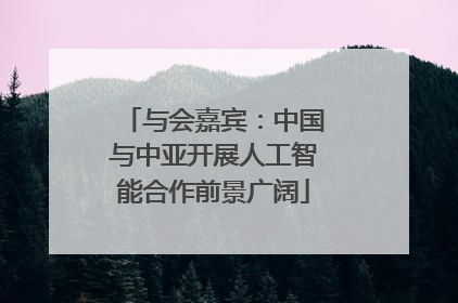 与会嘉宾：中国与中亚开展人工智能合作前景广阔