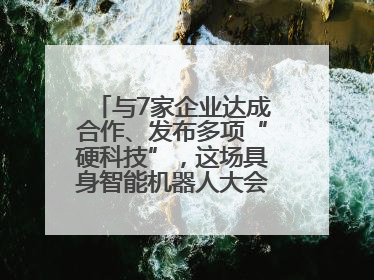 与7家企业达成合作、发布多项“硬科技”，这场具身智能机器人大会蓉城启幕