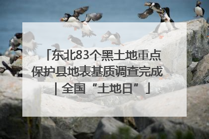 东北83个黑土地重点保护县地表基质调查完成｜全国“土地日”