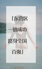 东营区一镇成功跻身全国百强