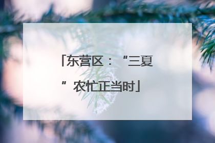 东营区：“三夏”农忙正当时