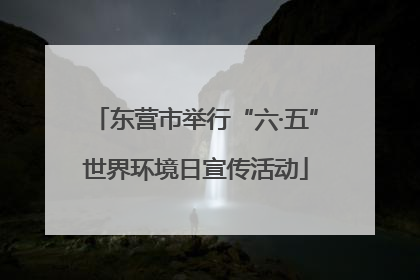 东营市举行“六·五”世界环境日宣传活动