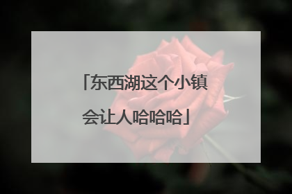 东西湖这个小镇会让人哈哈哈