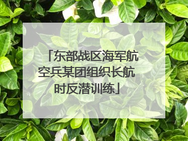 东部战区海军航空兵某团组织长航时反潜训练