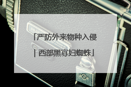 严防外来物种入侵｜西部黑寡妇蜘蛛