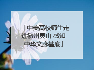 中美高校师生走进徽州灵山 感知中华文脉基底