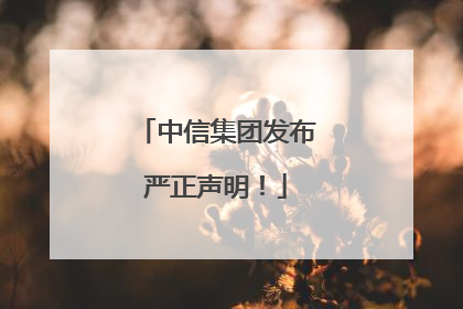 中信集团发布严正声明！