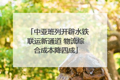 中亚班列开辟水铁联运新通道 物流综合成本降四成