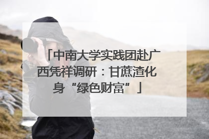 中南大学实践团赴广西凭祥调研：甘蔗渣化身“绿色财富”