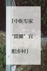中医专家“摆摊”宜阳乡村