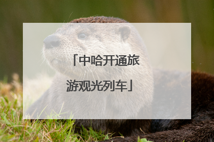 中哈开通旅游观光列车
