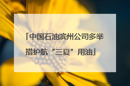 中国石油滨州公司多举措护航“三夏”用油