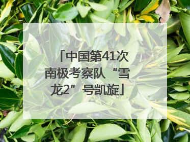 中国第41次南极考察队“雪龙2”号凯旋