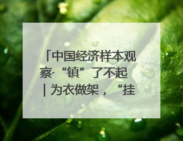 中国经济样本观察·“镇”了不起｜为衣做架，“挂”出来的80亿元“衣架产业”