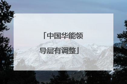中国华能领导层有调整