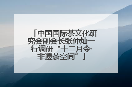 中国国际茶文化研究会副会长张仲灿一行调研“十二月令·非遗茶空间”