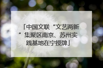 中国文联“文艺两新”集聚区南京、苏州实践基地在宁授牌