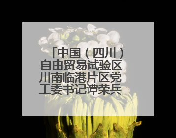 中国（四川）自由贸易试验区川南临港片区党工委书记谭荣兵一行赴岳阳城陵矶综保区考察