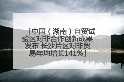 中国（湖南）自贸试验区对非合作创新成果发布 长沙片区对非贸易年均增长141%