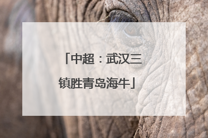 中超：武汉三镇胜青岛海牛