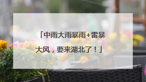 中雨大雨暴雨+雷暴大风，要来湖北了！